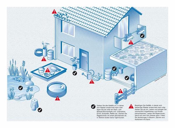 Bild vergrößern: TIgermücke Gefahrenstelle am Haus